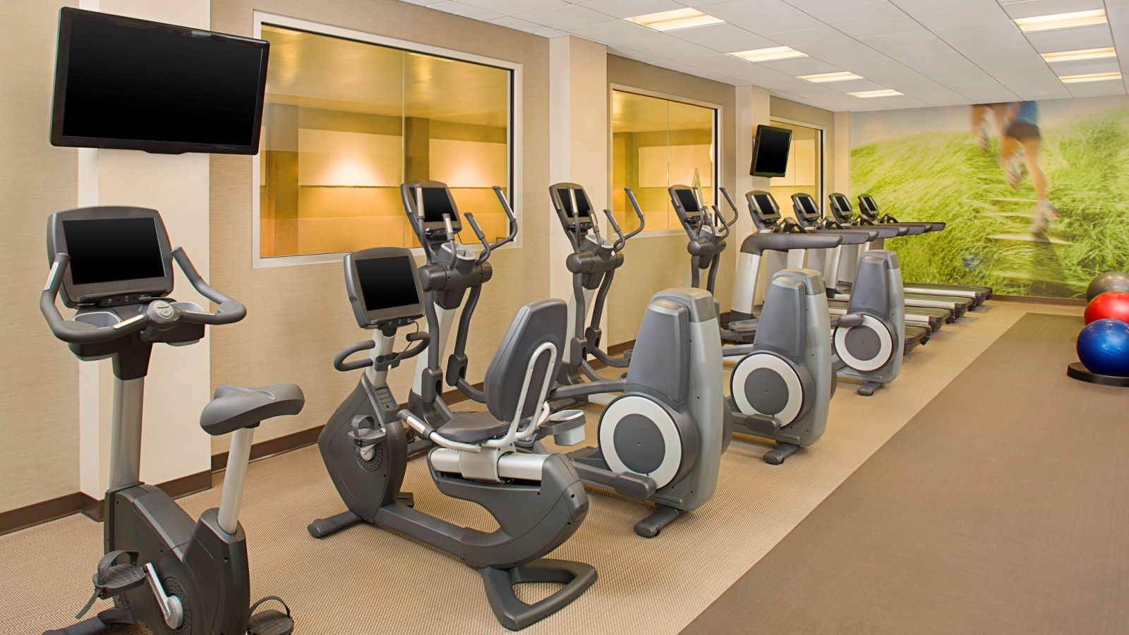 The Westin Chicago North Shore Wheeling Faciliteter billede
